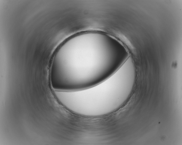 X0000091941268200709051254