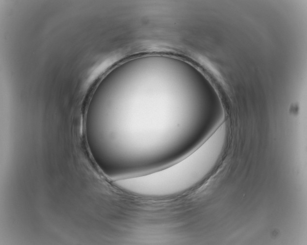 X0000091941269200709051254