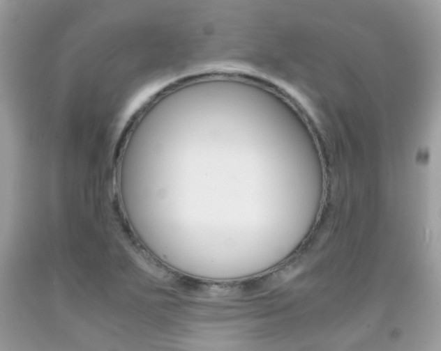 X0000091941271200709051254