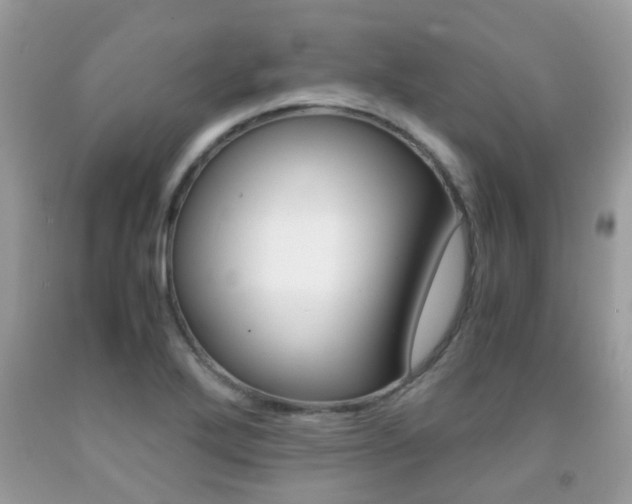 X0000091941272200709051254