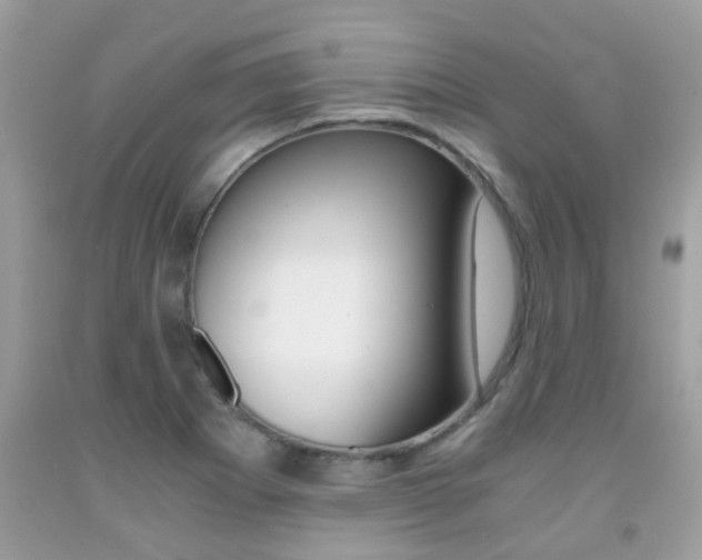 X0000091941273200709051254