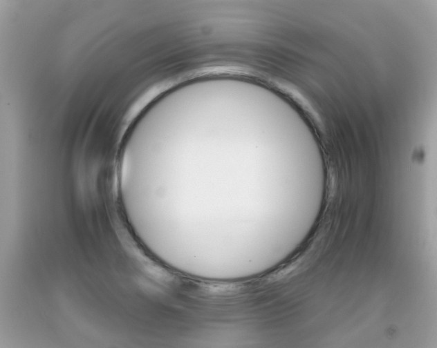 X0000091941274200709051254