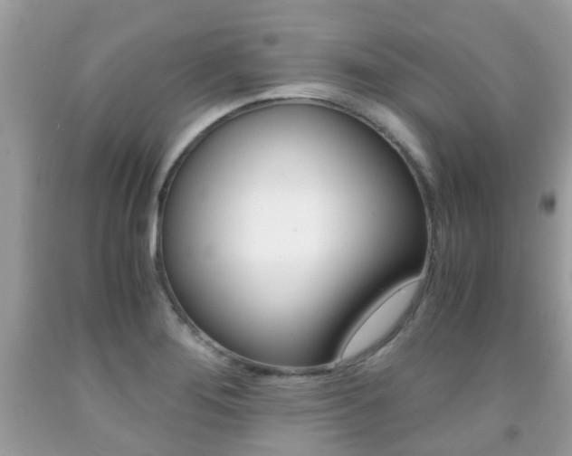 X0000091941276200709051254