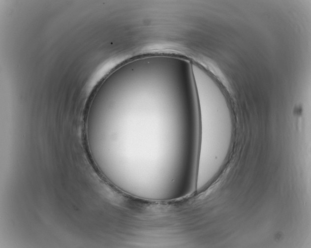 X0000091941277200709051254