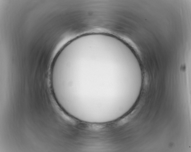 X0000091941278200709051254