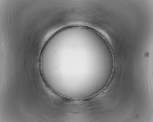 X0000091941279200709051254
