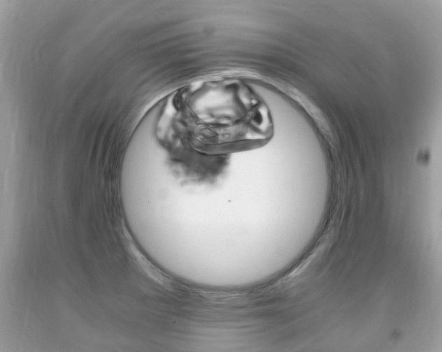 X0000091941281200709051254