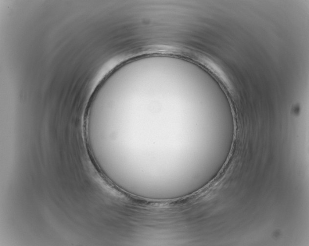 X0000091941283200709051254