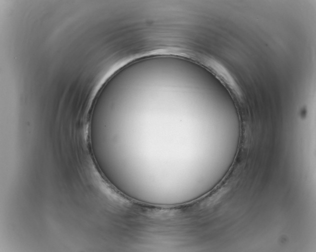 X0000091941284200709051254