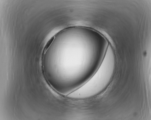 X0000091941285200709051254