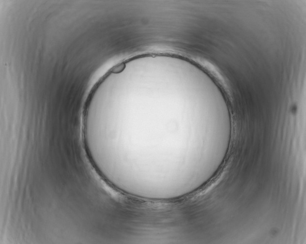 X0000091941286200709051254