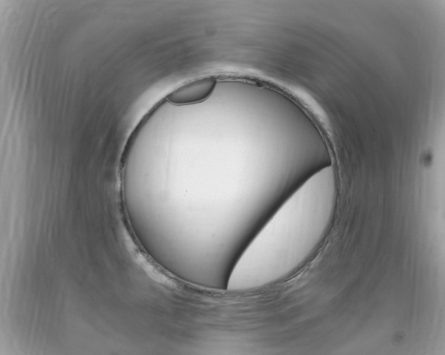 X0000091941287200709051254