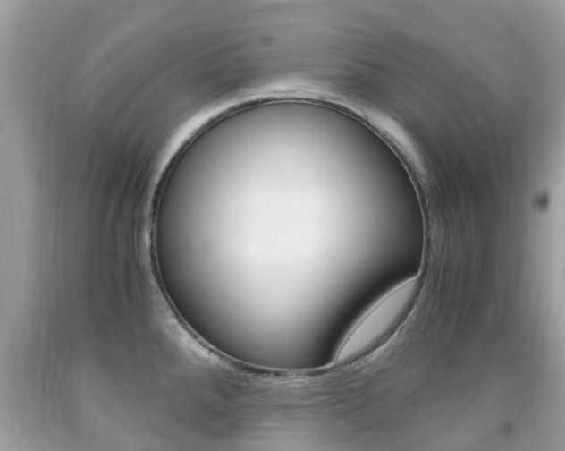 X0000091941288200709051254