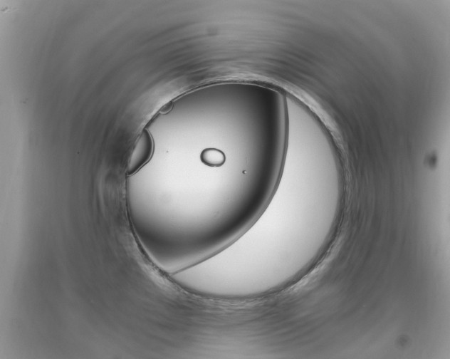 X0000091941289200709051254
