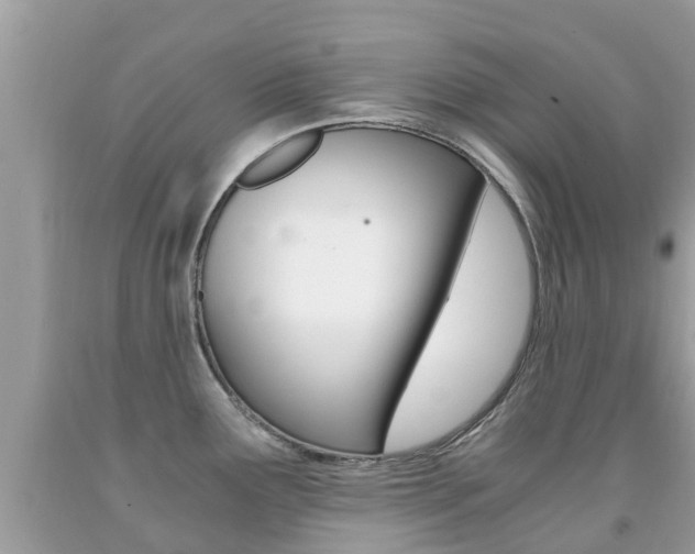 X0000091941291200709051254