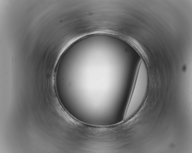 X0000091941292200709051254