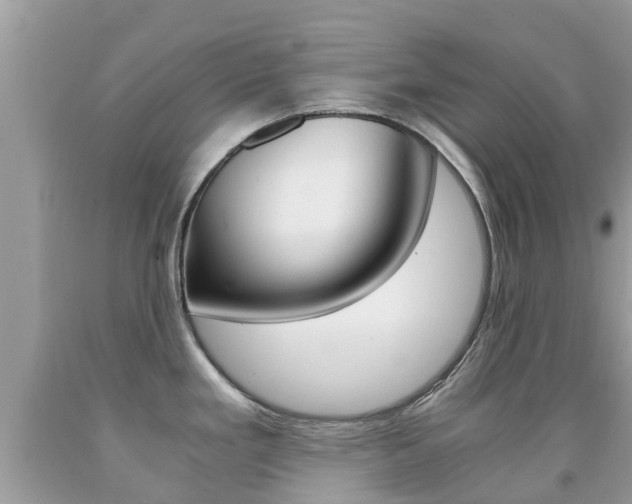 X0000091941293200709051254