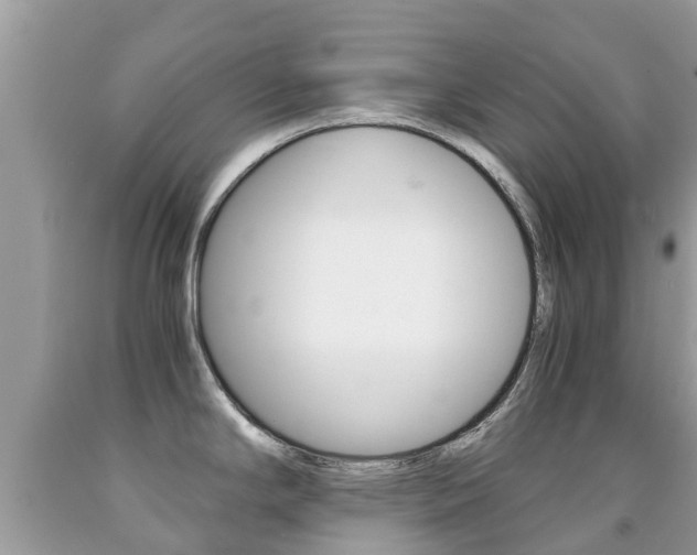 X0000091941294200709051254