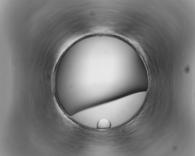X0000091941295200709051254