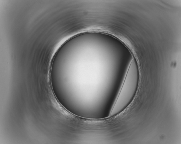 X0000091941296200709051254