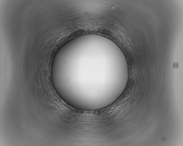 X0000091941297200709051253