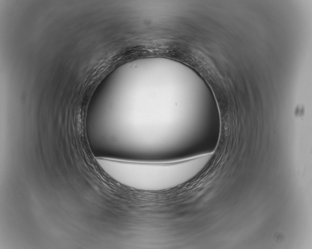 X0000091941298200709051253