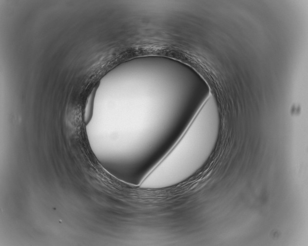X0000091941299200709051254