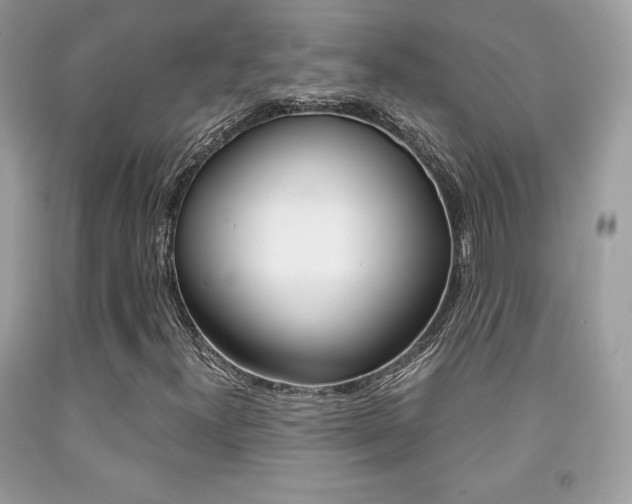 X0000091941300200709051254