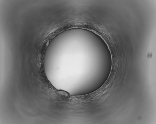 X0000091941301200709051254