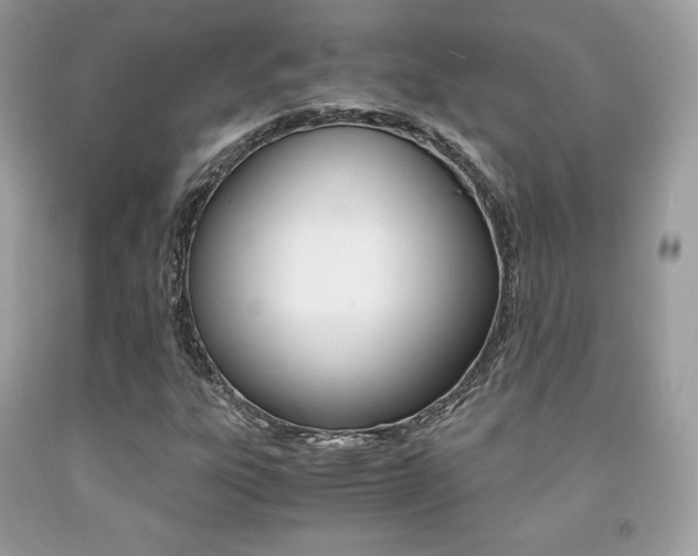 X0000091941303200709051254