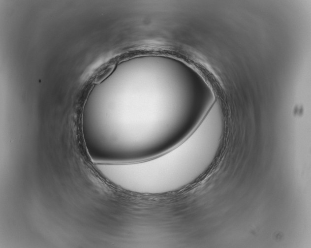 X0000091941304200709051254
