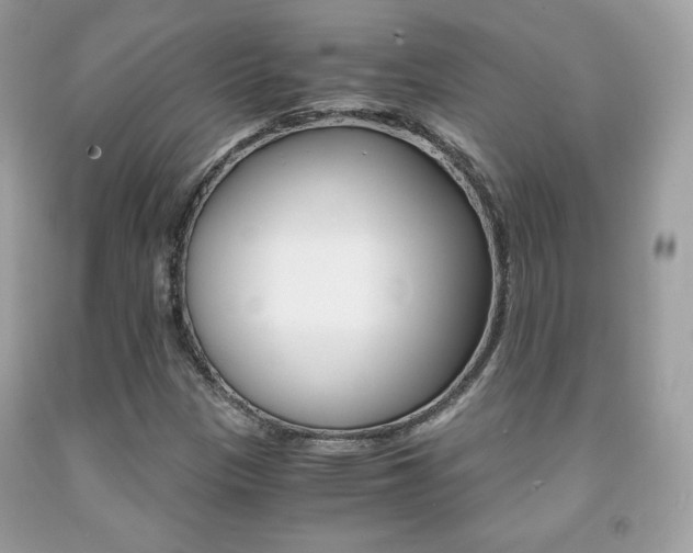 X0000091941305200709051254