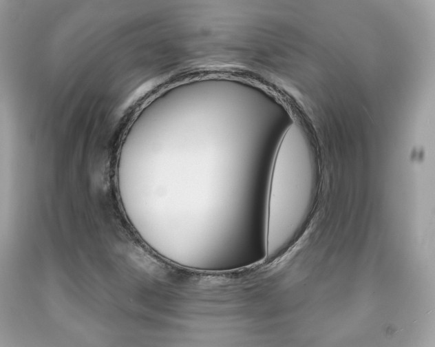 X0000091941306200709051254
