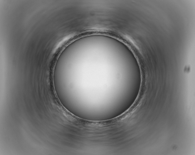 X0000091941307200709051254