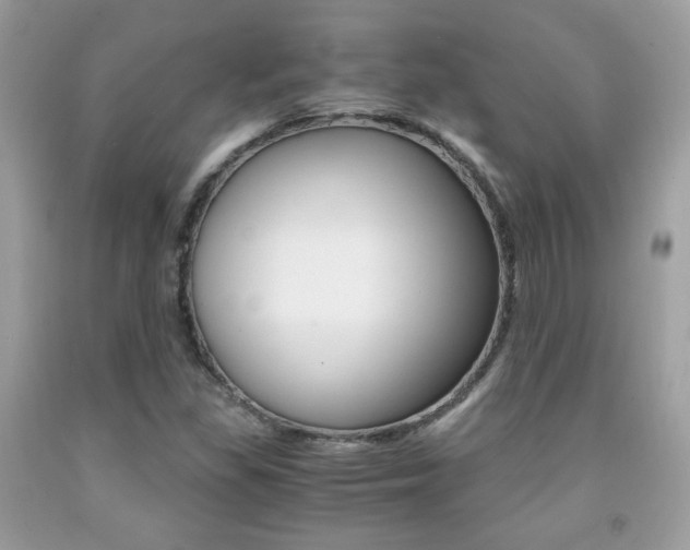 X0000091941309200709051254