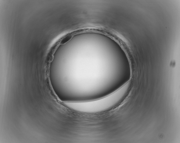 X0000091941310200709051254