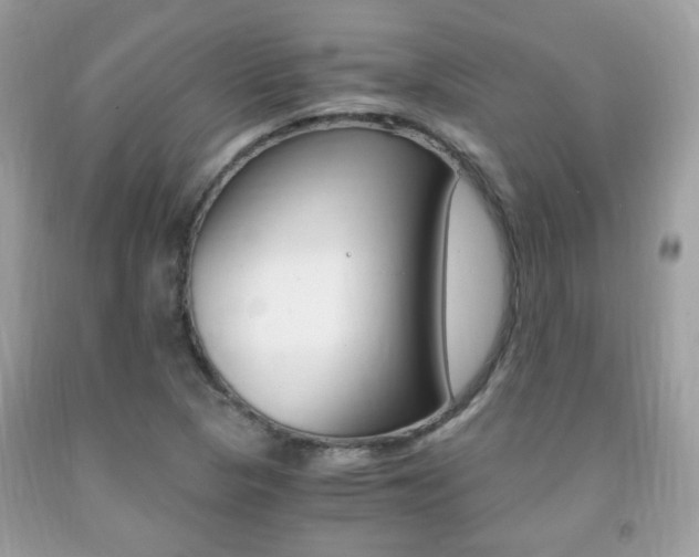 X0000091941313200709051254
