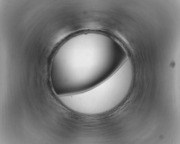 X0000091941315200709051254
