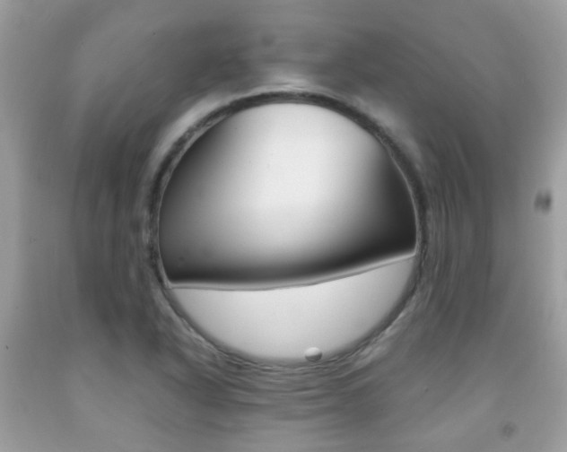 X0000091941318200709051254