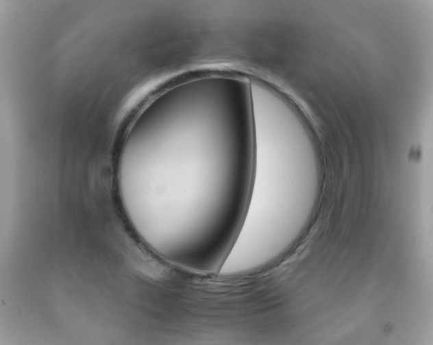 X0000091941319200709051254