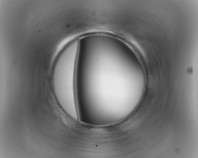 X0000091941320200709051254