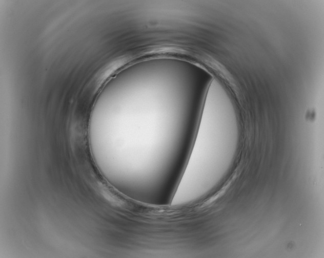 X0000091941321200709051254