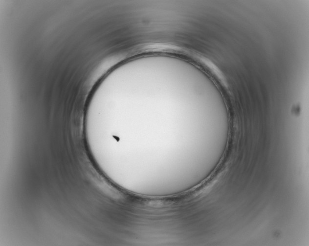X0000091941322200709051254