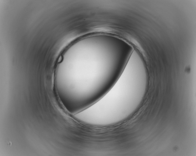 X0000091941323200709051254