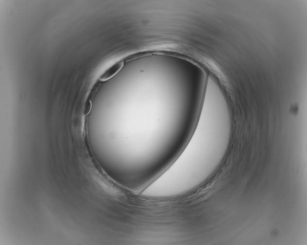 X0000091941324200709051254