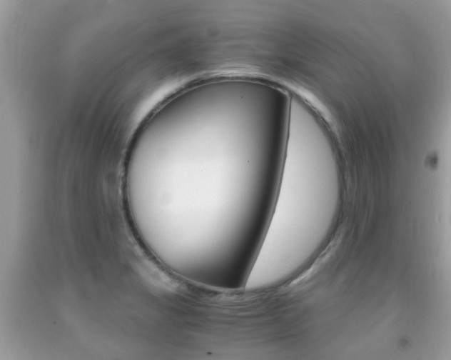 X0000091941325200709051254