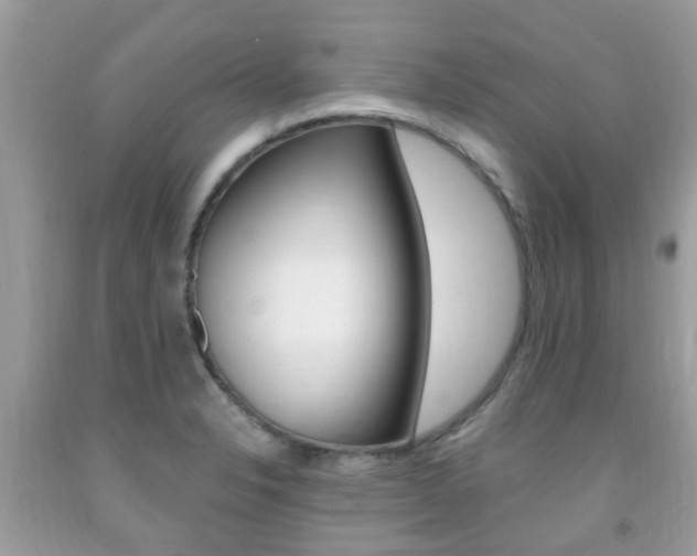 X0000091941326200709051254