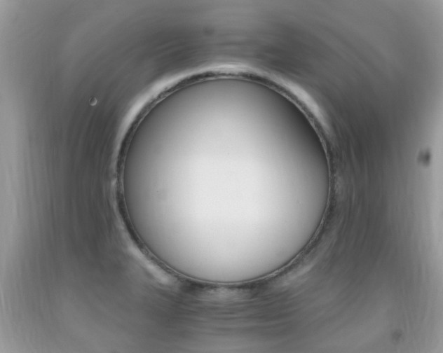 X0000091941327200709051254