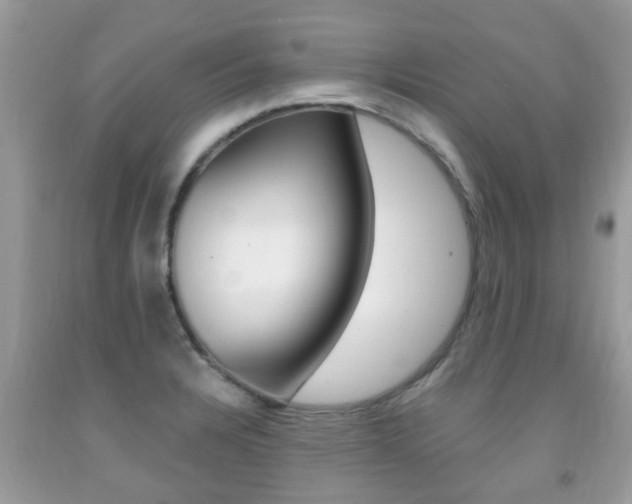 X0000091941328200709051254