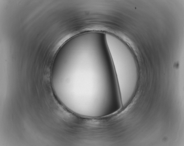 X0000091941329200709051254